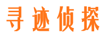 太平市私人侦探